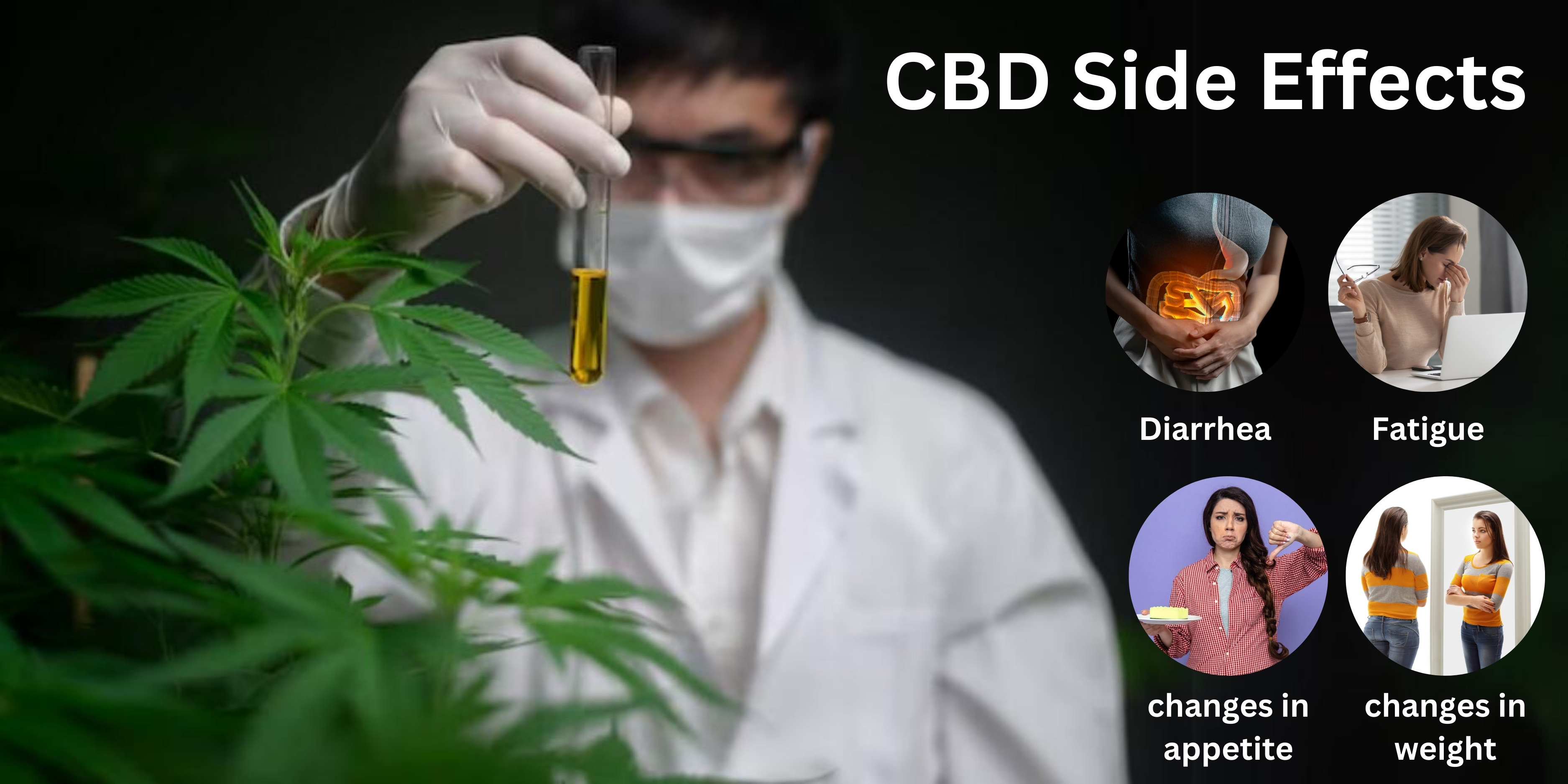 cannabidiol oil India